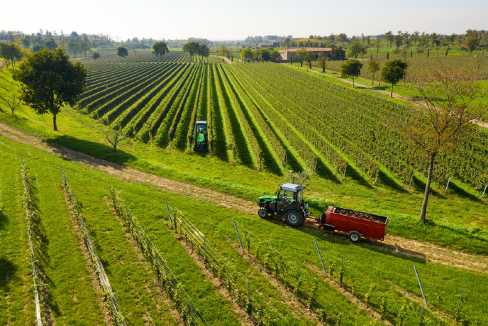 5DF-DS-DV_5095 DS_Stage V_Field_DJI_0332_preview.jpg_4_11zon
